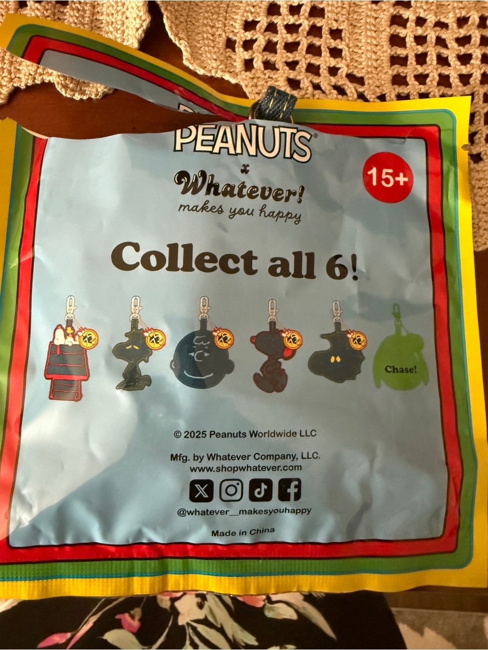 Peanuts Mystery Bag Charm (Charlie Brown) - Picture 4 of 4